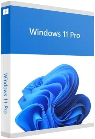 Microsoft Windows 11 Pro